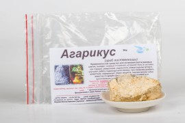 Агарикус (лиственничный гриб)